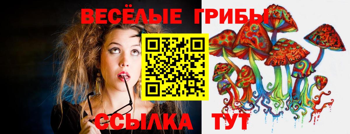 Псилоцибиновые грибы прущие грибы  Вход с VPN  Отрадный 